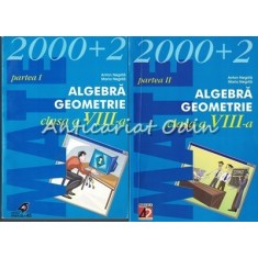 Algebra Geometrie I, II - Anton Negrila, Maria Negrila
