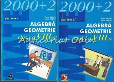 Algebra Geometrie I, II - Anton Negrila, Maria Negrila foto