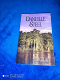 DANIELLE STEEL: LUMINILE SUDULUI