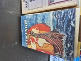 Vikingii &icirc;n istorie vintage