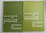 ALGEBRA SI ANALIZA MATEMATICA , CULEGERE DE PROBLEME , VOLUMELE I - II de N. DONCIU si D. FLONDOR , 1978