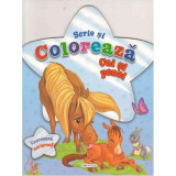 Carte Scrie si coloreaza cai si ponei Girasol, 68 pagini, 64 desene, 4 ani+