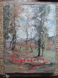 NICOLAE GRIGORESCU. ALBUM-GEORGE SORIN MOVILEANU