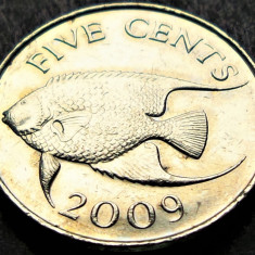 Moneda exotica 5 CENTI - Insulele BERMUDE / BERMUDA, anul 2009 * cod 20 C