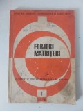 Forjori Matriteri, 1973, Ministerul Industriei constructiilor de masini grele