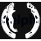 DELPHI LS2016 Set saboti frana