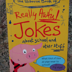 The Usborne Book of Really Awful Jokes: About School and Other Stuff