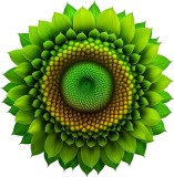 Cumpara ieftin Sticker decorativ Floare, Verde, 61 cm, 8119ST-2, Oem
