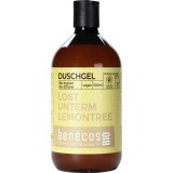 Gel de Dus Benecos Ghimbir Bio si Lamaie Bio Revigorant - 500ml