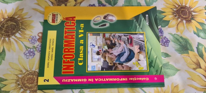 Doru Popescu Anastasiu Ovidiu Ninel Staicu Informatica manual clasa VI