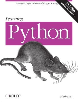 Learning Python foto
