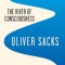 The River of Consciousness