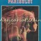 Fecioarele Parisului - Marcel Prevost