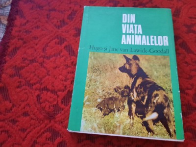 HUGO si JANE VAN LAWICK GOODALL - DIN VIATA ANIMALELOR foto