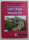 IUBIRI LANGA MARELE ZID de LIA MARIA ANDREITA , ION ANDREITA , 2017