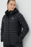 Puma geaca