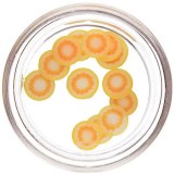 Cumpara ieftin Legume - Felii Fimo Nail Art, dovleac, INGINAILS