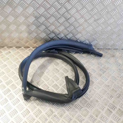 Garnitura ușă st&amp;acirc;nga spate TESLA MODEL 3 2018 OEM: 1090499-99-F foto