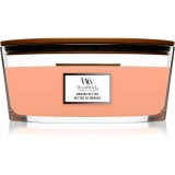 Woodwick Manuka Nectar lum&acirc;nare parfumată cu fitil din lemn (hearthwick) 453,6 g