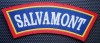 5.483 ROMANIA ECUSON EMBLEMA PATCH SALVAMONT 11,5/3,7cm