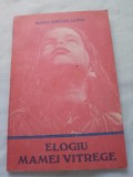 Mario vargas llosa-elogiu mamei vitrege