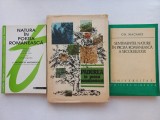 NATURA IN POEZIA ROMANEASCA+ PADUREA IN PROZA ROMANEASCA+ SENTIMENTUL NATURII IN