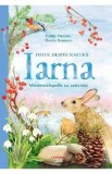 Totul despre natura. Iarna. Minienciclopedie cu activitati - Gabby Dawnay