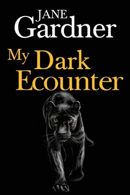 My Dark Encounter foto