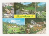 RF23 -Carte Postala- Muntii Apuseni, circulata 1990