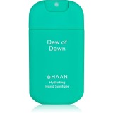 HAAN Hand Care Dew of Dawn spray de curățare pentru m&acirc;ini antibacterial 30 ml