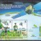 DB1 Ins. Pitcairn 2000 Cosmos Recuperare Satelit USA MS MNH