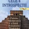 Cele 4 Introspectii,Alberto Villoldo - Editura For You