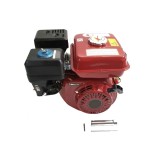 Motor uz general 6.5 CP ax 20 mm drept cu pana Boxer