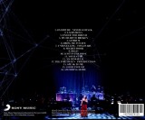 Synthesis Live | Evanescence