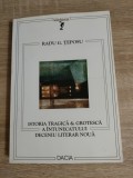 Radu G. Teposu - Istoria tragica &amp; grotesca a intunecatului deceniu literar noua