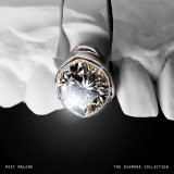 The Diamond Collection (Limited Edition) - Silver Vinyl | Post Malone