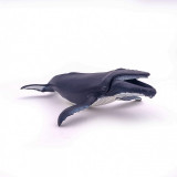 Cumpara ieftin Papo Figurina Balena Cu Cocoasa