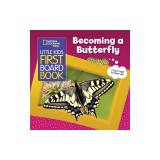 Little Kids First Board Book: Becoming a Butterfly