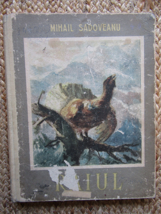 MIHAIL SADOVEANU - RAIUL - ED. 1955, CARTONATA