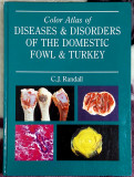 Color Atlas of Diseases &amp; Disorders of the domestic fowl &amp; turkey