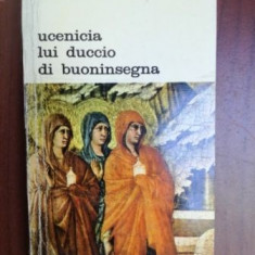 Ucenicia lui Duccio di Buoninsegna- Victor Ieronim Stoichita