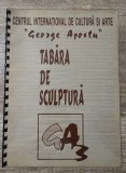 Tabara de sculptura George Apostu// tiraj 100 exemplare