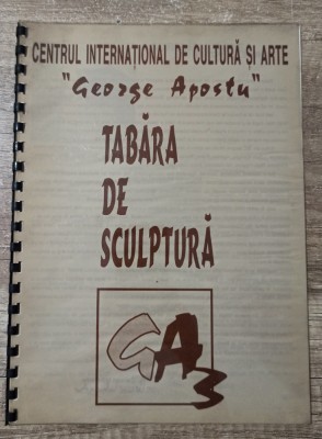 Tabara de sculptura George Apostu// tiraj 100 exemplare foto