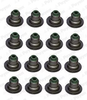 PAYEN HR5082 Set garnituri, ax supape