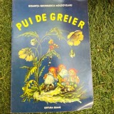 Pui de greier , Domnita Georgescu Moldoveanu