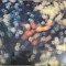 cd pink floyd obsured by clouds digipack