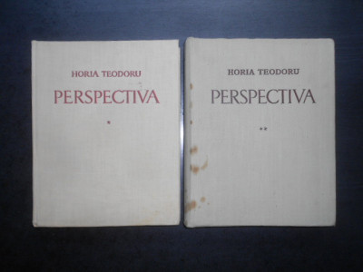 Horia Teodoru - Perspectiva 2 volume (1958-1968, editie cartonata) foto