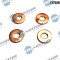 Set Garnituri Etansare,Injectoare 250207 DRM0199S