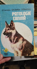 Patologie canina &amp;amp;#8211; E. Carnatiu foto