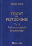 Gheorghe Ivanus - Tratat de petrochimie, volumul 2: Produse petrochimice